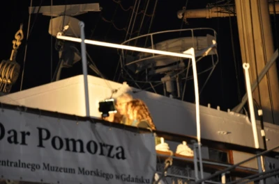 Żaglowce opanowały Gdynię