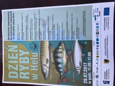 Dzień Ryby w Helu 2017 - fot. TTM