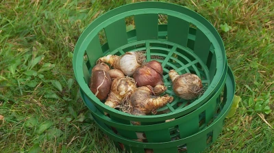 Wiosna pełna kolorów w Pucku