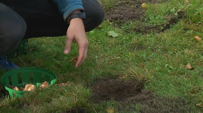 Wiosna pełna kolorów w Pucku