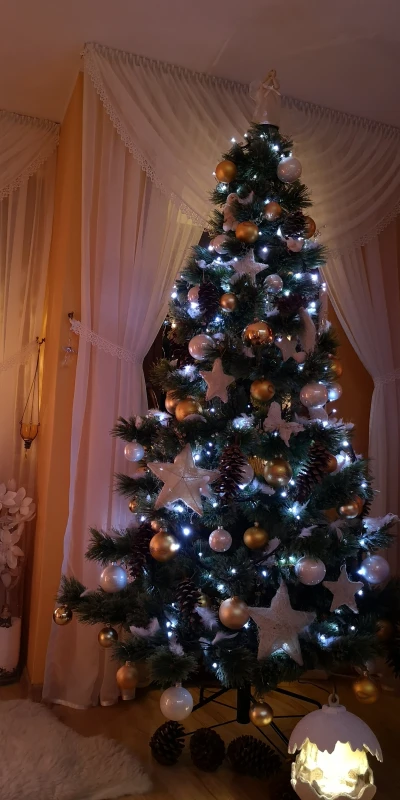 IMG_20201220_165419.jpg