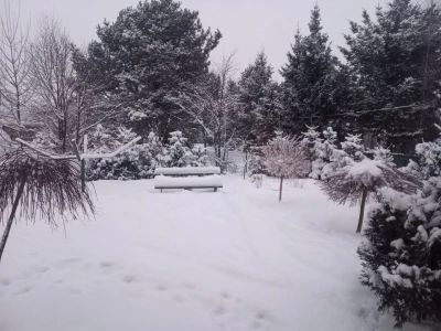 Atak zimy w obiektywie naszych Czytelników 