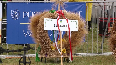 vlcsnap-2022-08-22-13h07m50s296.png