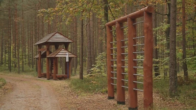 Wolność jest w naturze, czyli biegi w Luzinie