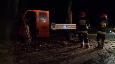 Auto dostawcze uderzyło w drzewo