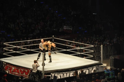 Wrestling - wszystkie chwyty dozwolone