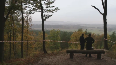 Wolność jest w naturze, czyli biegi w Luzinie