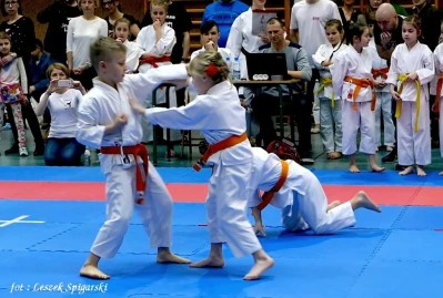 Wejherowo 2017: Pomorski Turniej Karate Tradycyjnego - fot. Leszek Spigarski