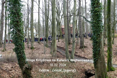 fot. Leszek Spigarski