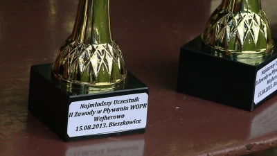 Pokazy WOPR w Bieszkowicach