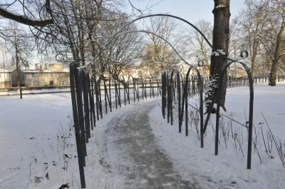 Zima w obiektywie