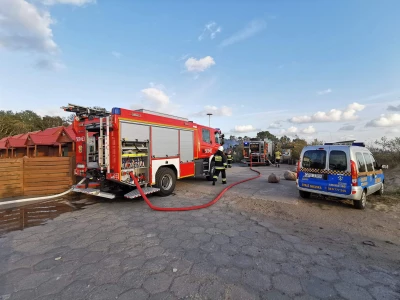 Miniatura