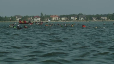 Śledzie przemaszerowały przez Zatokę Pucką