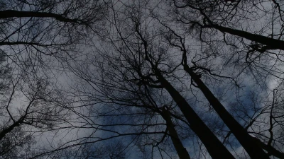 Park Majkowskiego, Wejherowo