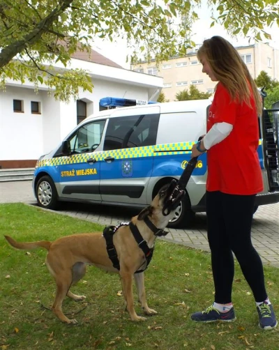 Festyn parafialny przy Rybackiej - Wrzesień z Maryją (fot. Leszek Spigarski)