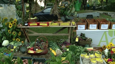 Dożynki Powiatowe w Choczewie