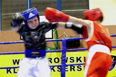I Wejherowski Boxing Show 2017 - fot. Leszek Spigarski