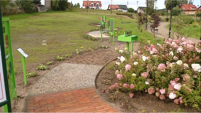 Miniatura