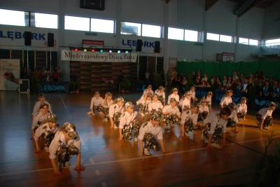 Sukcesy zespołów tanecznych WCK