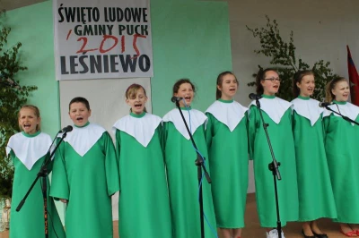 Obchody Święta Ludowego Gminy Puck w Leśniewie (fot. Ryszard Wenta)