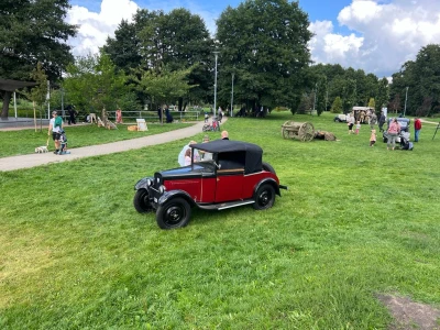 Miniatura