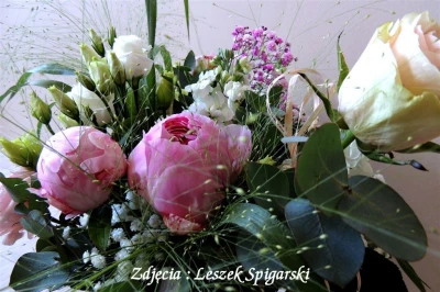 źródło: Leszek Spigarski