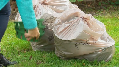 Wiosna pełna kolorów w Pucku