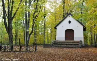 Kapliczki Kalwarii Wejherowskiej spowite jesienią