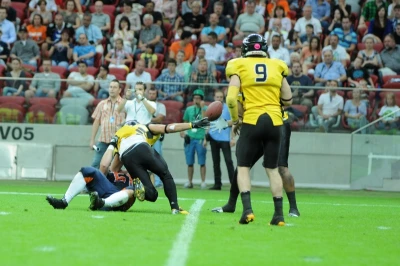 Marcin Warpechowski, plfa.pl