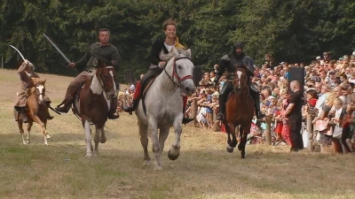 Bitwa pod Świecinem 2014