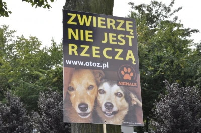 Z łańcuchem na szyi - Zwierzę nie jest rzeczą