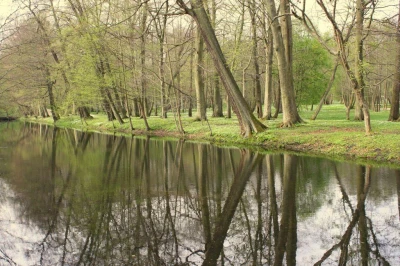 5.Krzystyna Grzenkowicz - Reda