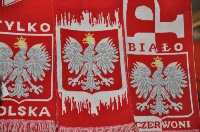 Biało-czerwoni przegrali w Ergo Arenie
