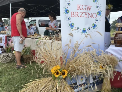 Festiwal KGW 