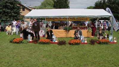 XVII Krajowa Wystawa Psów Rasowych w Kolibkach
