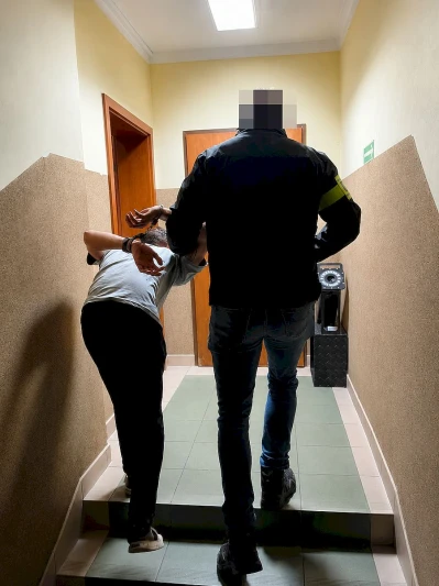 Wjechał autem na posesję i uszkodził drzewa oraz rynnę