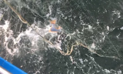 Zrzut ekranu 334  kopia.png