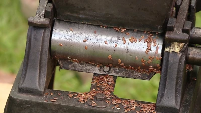 Piknik Ginących Zawodów w Domku Drzewiarza