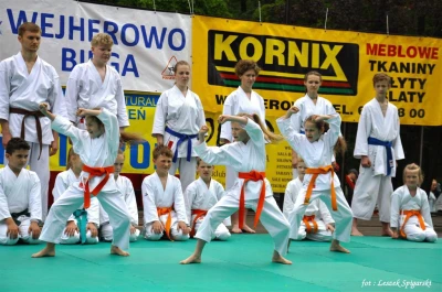 Wejherowo biega po raz czwarty (fot. Leszek Spigarski)
