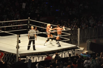 Wrestling - wszystkie chwyty dozwolone