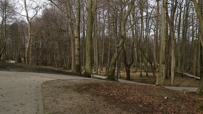 Park Majkowskiego, Wejherowo