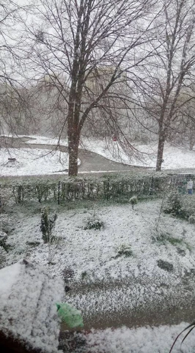 Zima wróciła na Pomorze fot. czytelnicy
