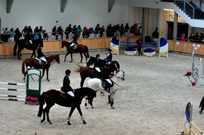 Zawody Regionalne w Skokach przez przeszkody / fot. Żaneta Lange