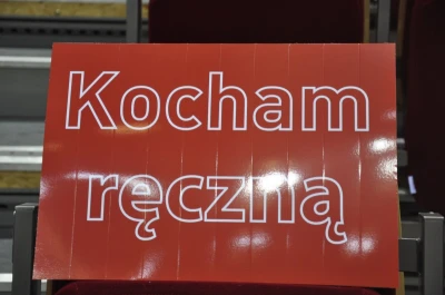 Biało-czerwoni przegrali w Ergo Arenie