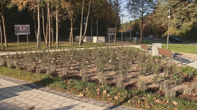 Oficjalne otwarcie Skweru w Dębogórzu