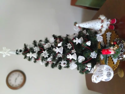 IMG_20201225_092409.jpg