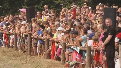 Bitwa pod Świecinem 2014