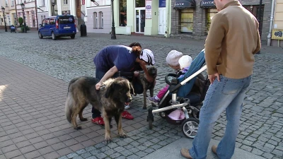 Wejherowo: Przykuli się łańcuchami do bud