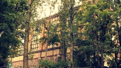 Miniatura