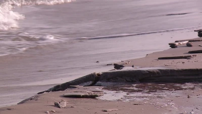 Półwysep Helski: Zniszczone po sztormach plaże - 2.02.2017 fot. TTM